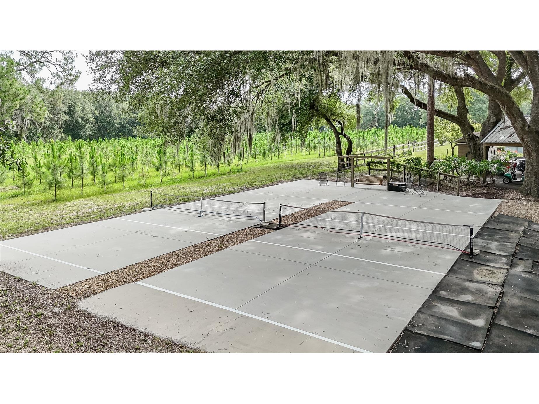 5117 Cr 316a Bushnell FL 33513 TB8517259 image9