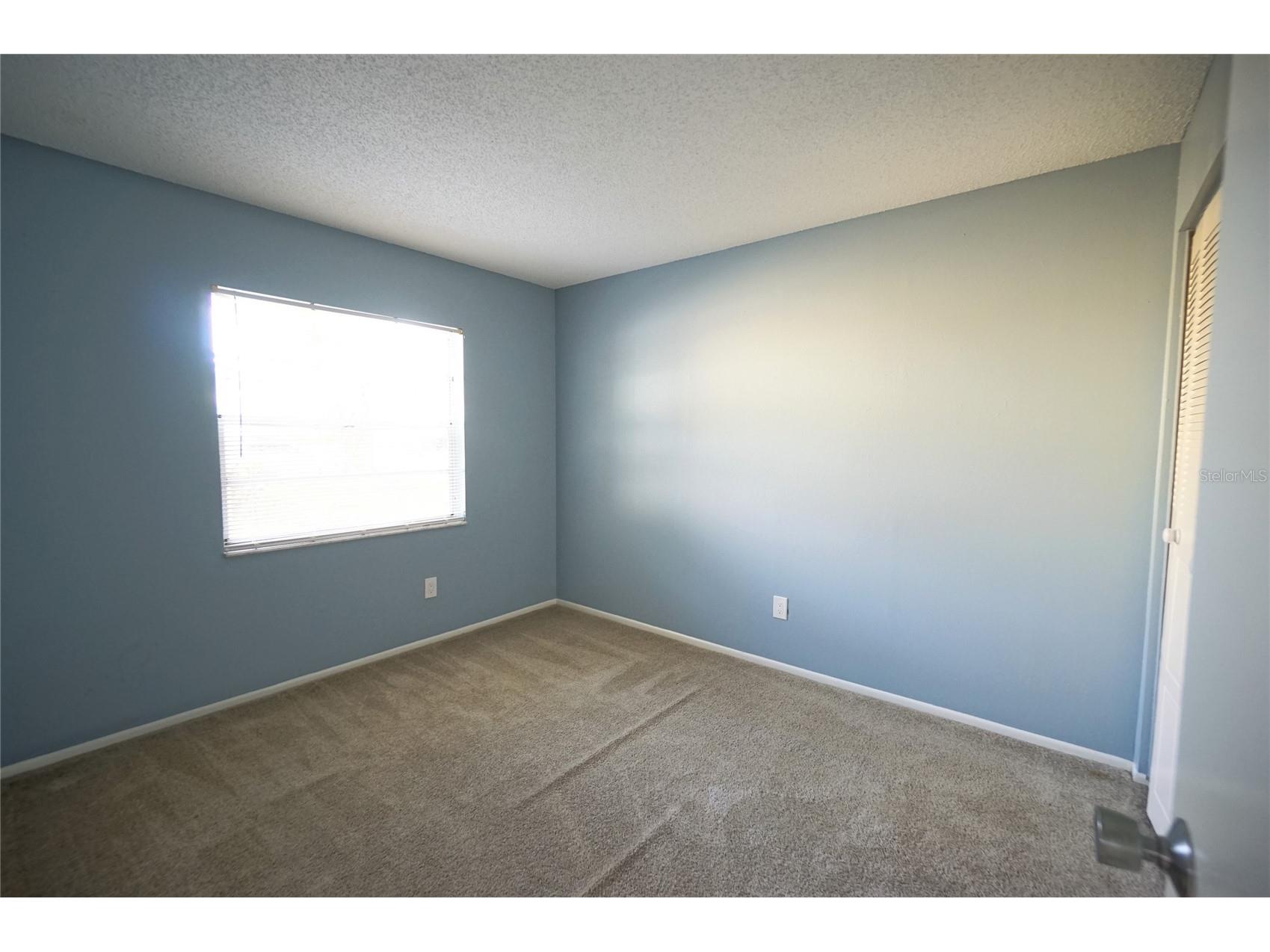 5117 Ellendale Avenue Tampa FL 33625 TB8518194 image13