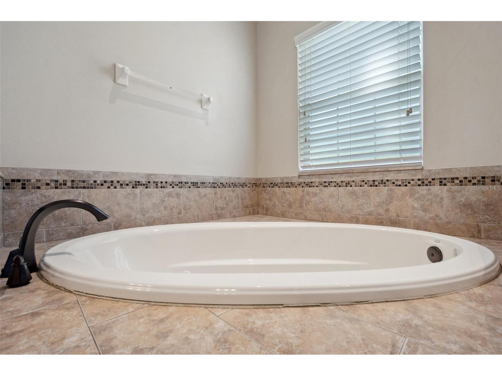 5117 Longspur Court Lithia FL 33547 TB8491717 image27