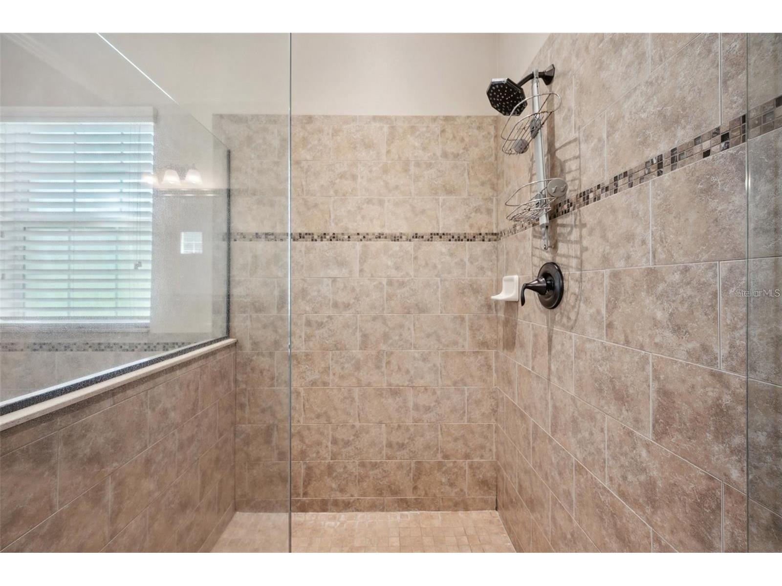 5117 Longspur Court Lithia FL 33547 TB8491717 image29