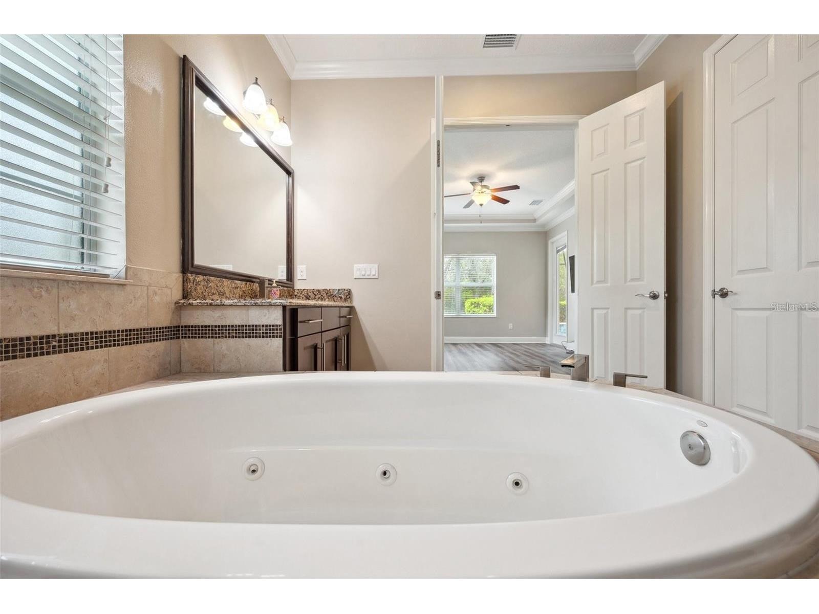 5117 Longspur Court Lithia FL 33547 TB8491717 image35