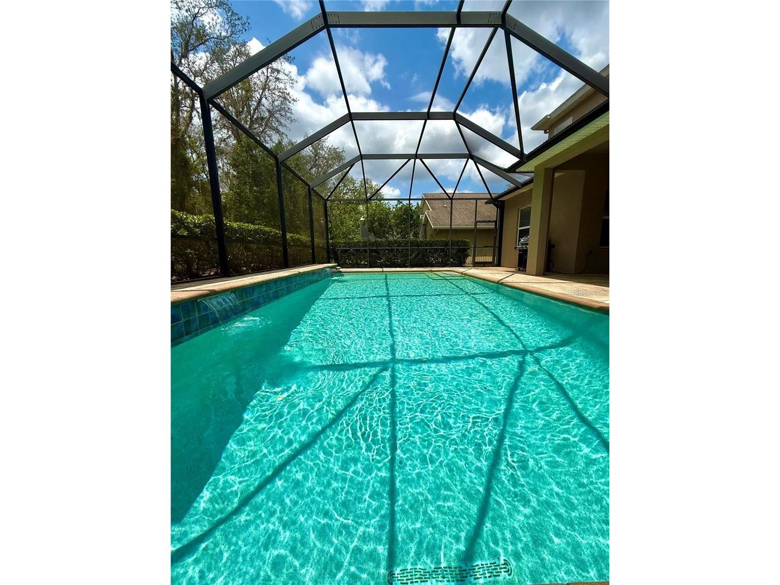 5117 Longspur Court Lithia FL 33547 TB8491717 image60