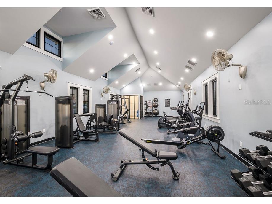 5117 Sea Branch Avenue Apollo Beach FL 33572 TB8522913 image19