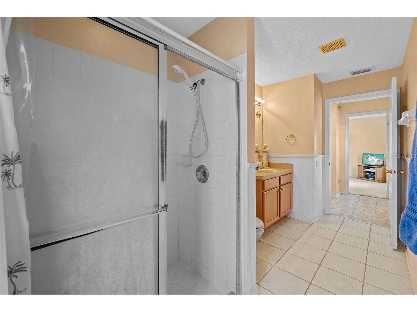 5117 Spectacular Bid Drive Wesley Chapel FL 33544 TB8500125 image29