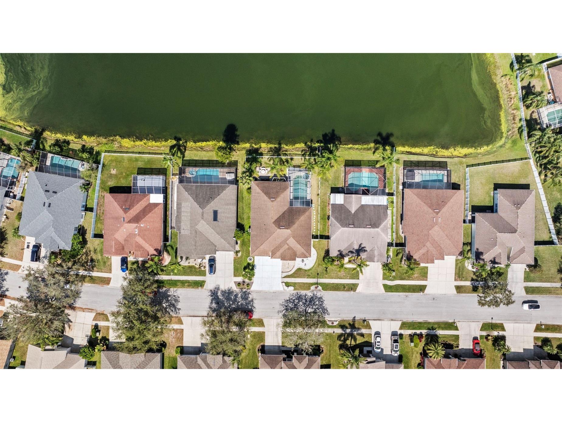 5117 Spectacular Bid Drive Wesley Chapel FL 33544 TB8500125 image49