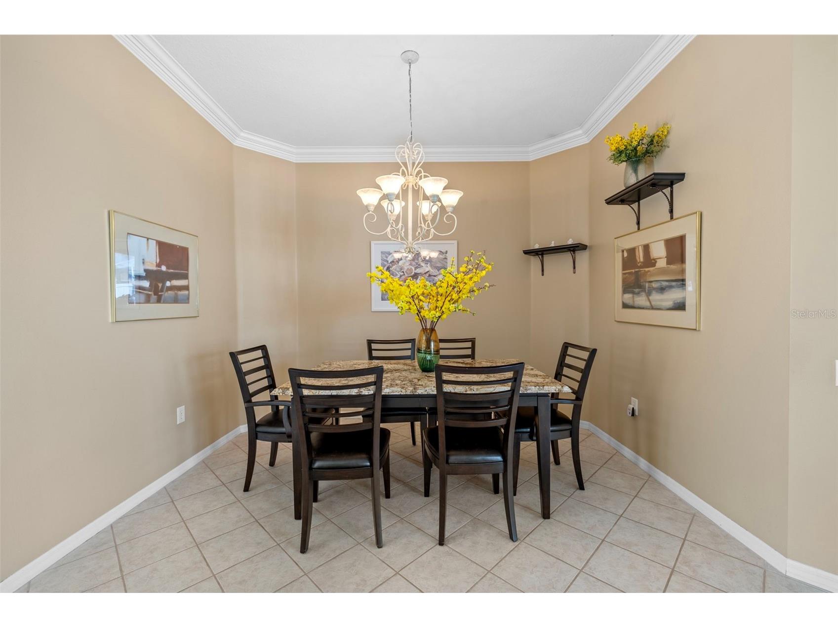 5117 Spectacular Bid Drive Wesley Chapel FL 33544 TB8500125 image7
