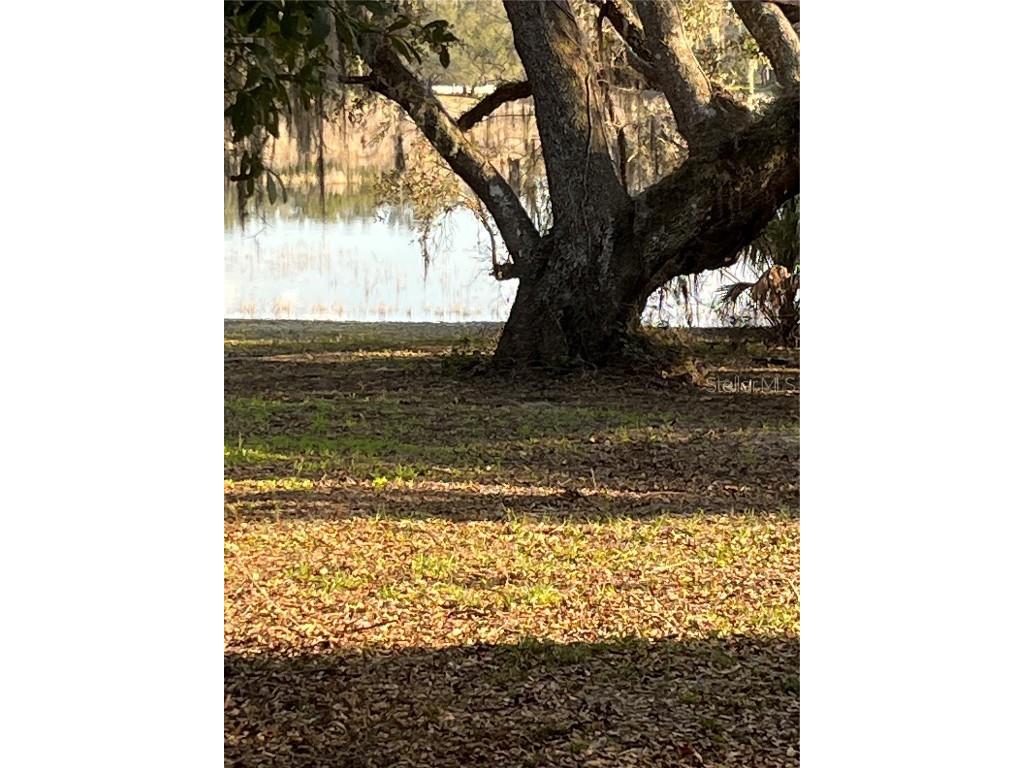 5118 Shorewood Drive Dade City FL 33523 TB8347880 image1