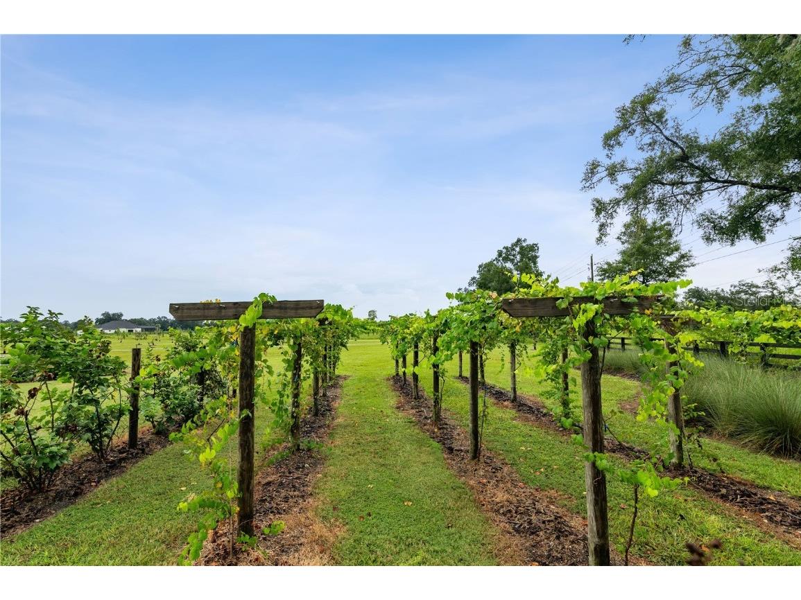 5118 SW 125th Circle Archer FL 32618 GC526415 image8