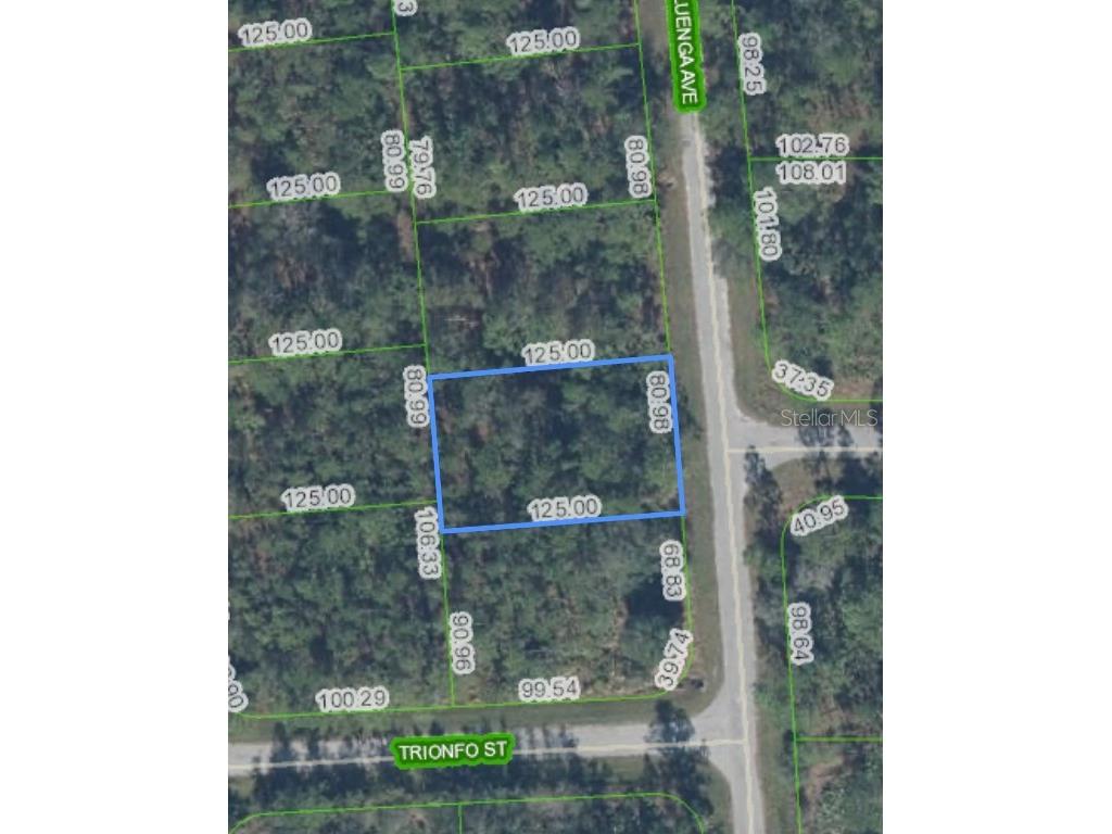 5119 Luenga Avenue Sebring FL 33872 O6347917 image1