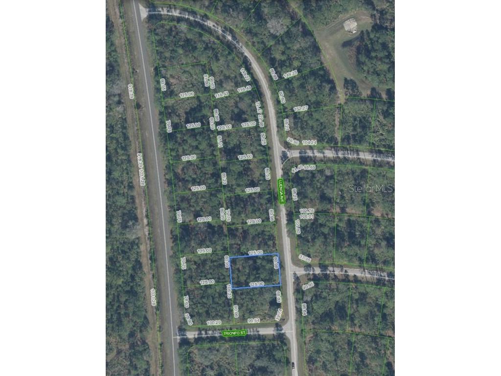 5119 Luenga Avenue Sebring FL 33872 O6347917 image10