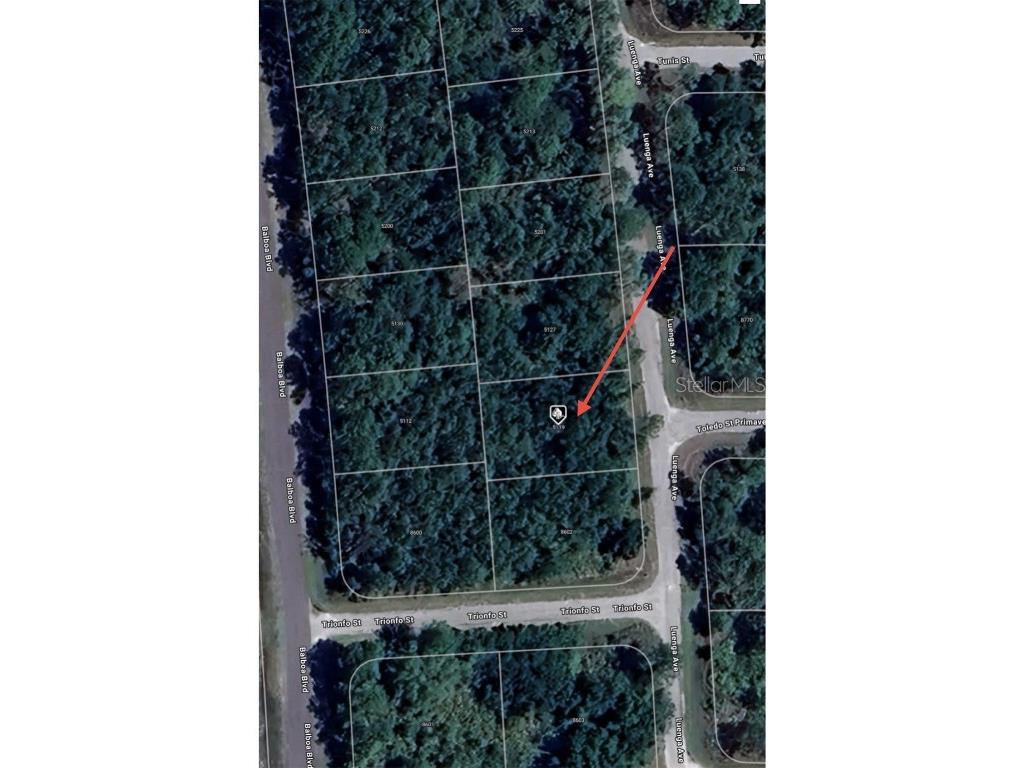 5119 Luenga Avenue Sebring FL 33872 O6347917 image6