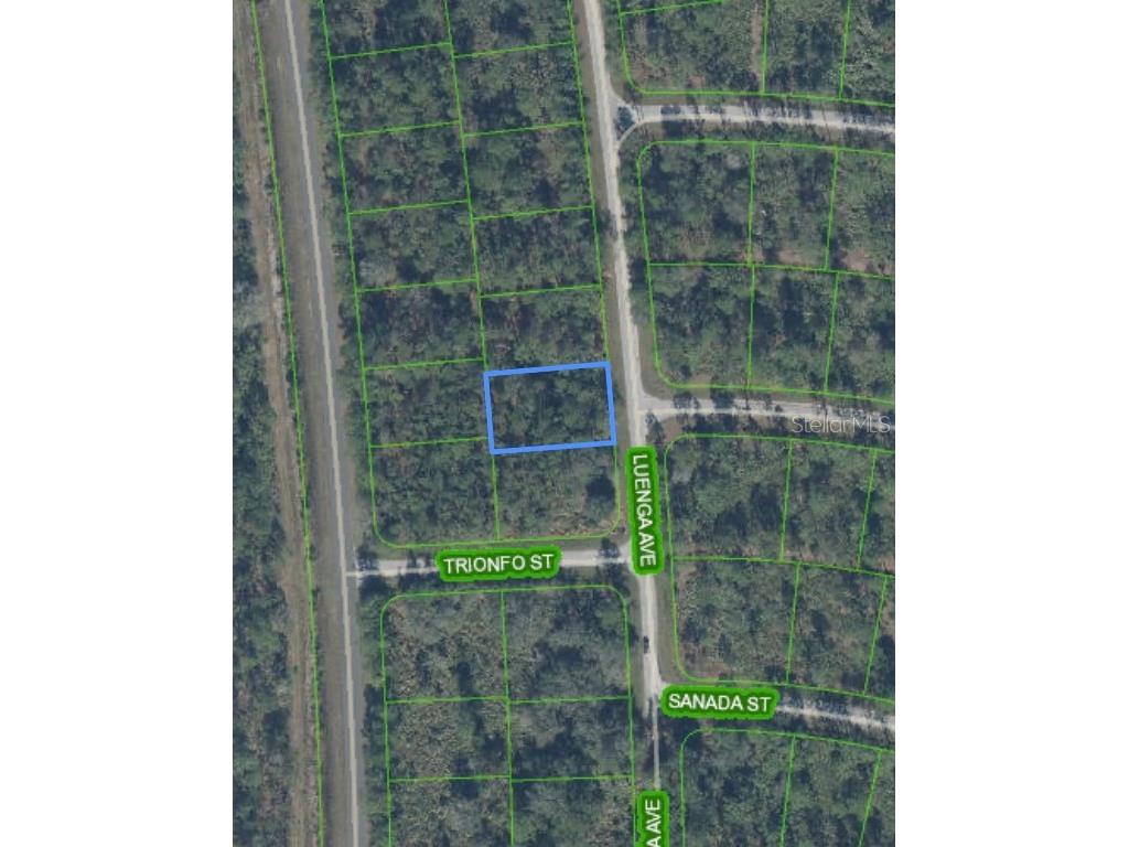 5119 Luenga Avenue Sebring FL 33872 O6347917 image8