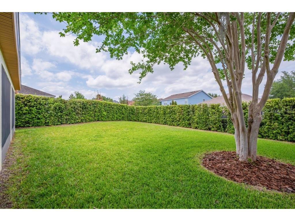 5119 Sanderling Ridge Drive Lithia FL 33547 TB8500062 image33