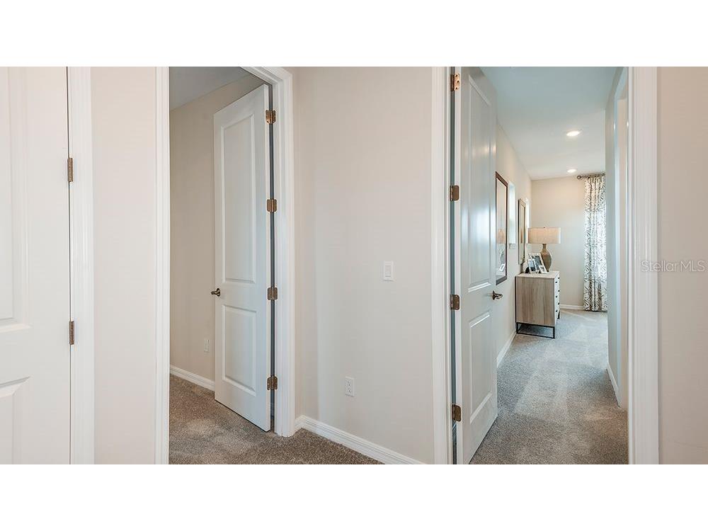 5119 Slate Hue Place Apollo Beach FL 33572 TB8465226 image20