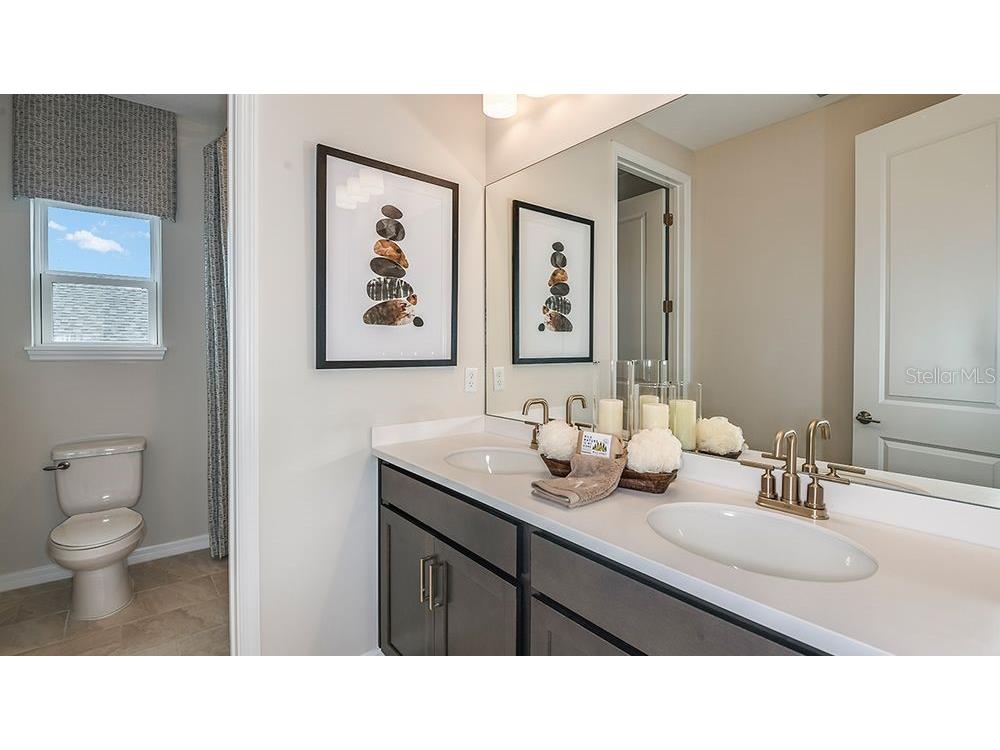 5119 Slate Hue Place Apollo Beach FL 33572 TB8465226 image27