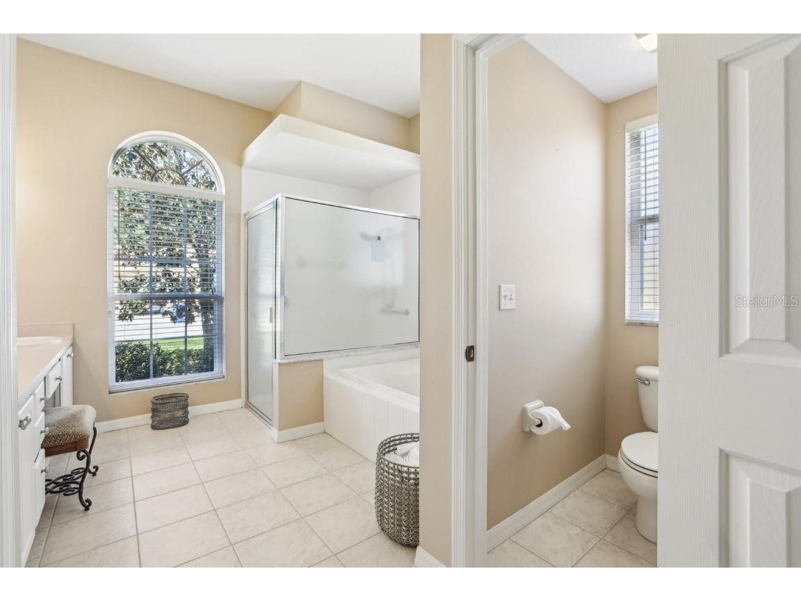 5119 Whispering Leaf Trail Valrico FL 33596 TB8376531 image22