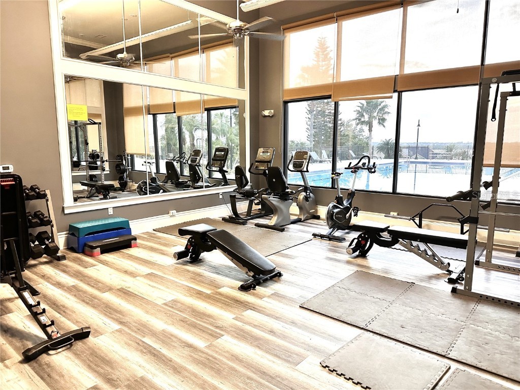 512 Adams View Lane Auburndale FL 33823 - LAKE VAN LAKE ALFRED P4935448 image17