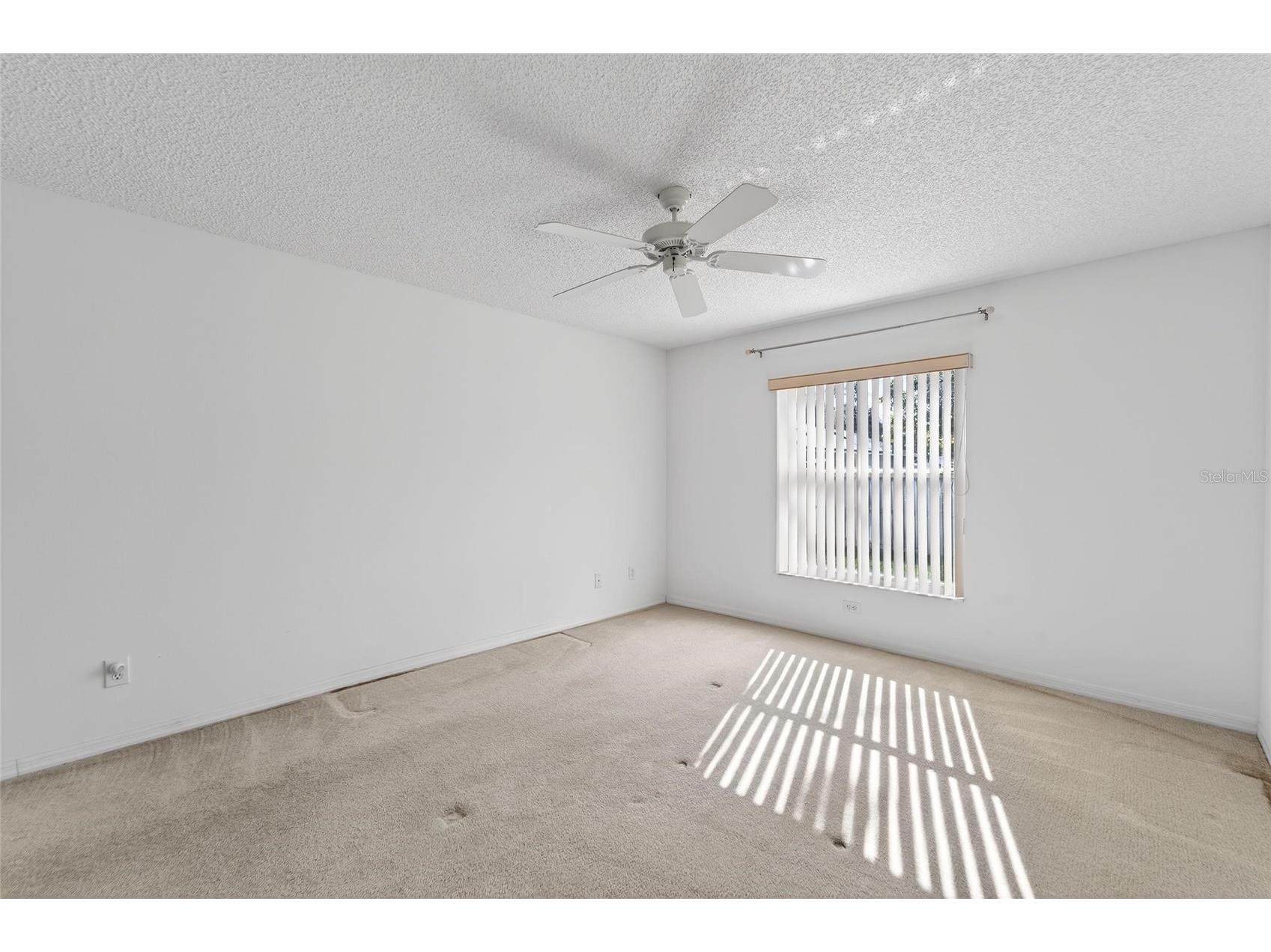512 Atwood Avenue N Saint Petersburg FL 33702 TB8469592 image39