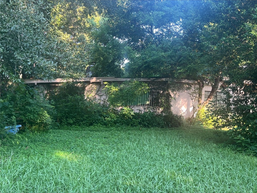 512 Carolyne Street Temple Terrace FL 33617 T3548814 image1