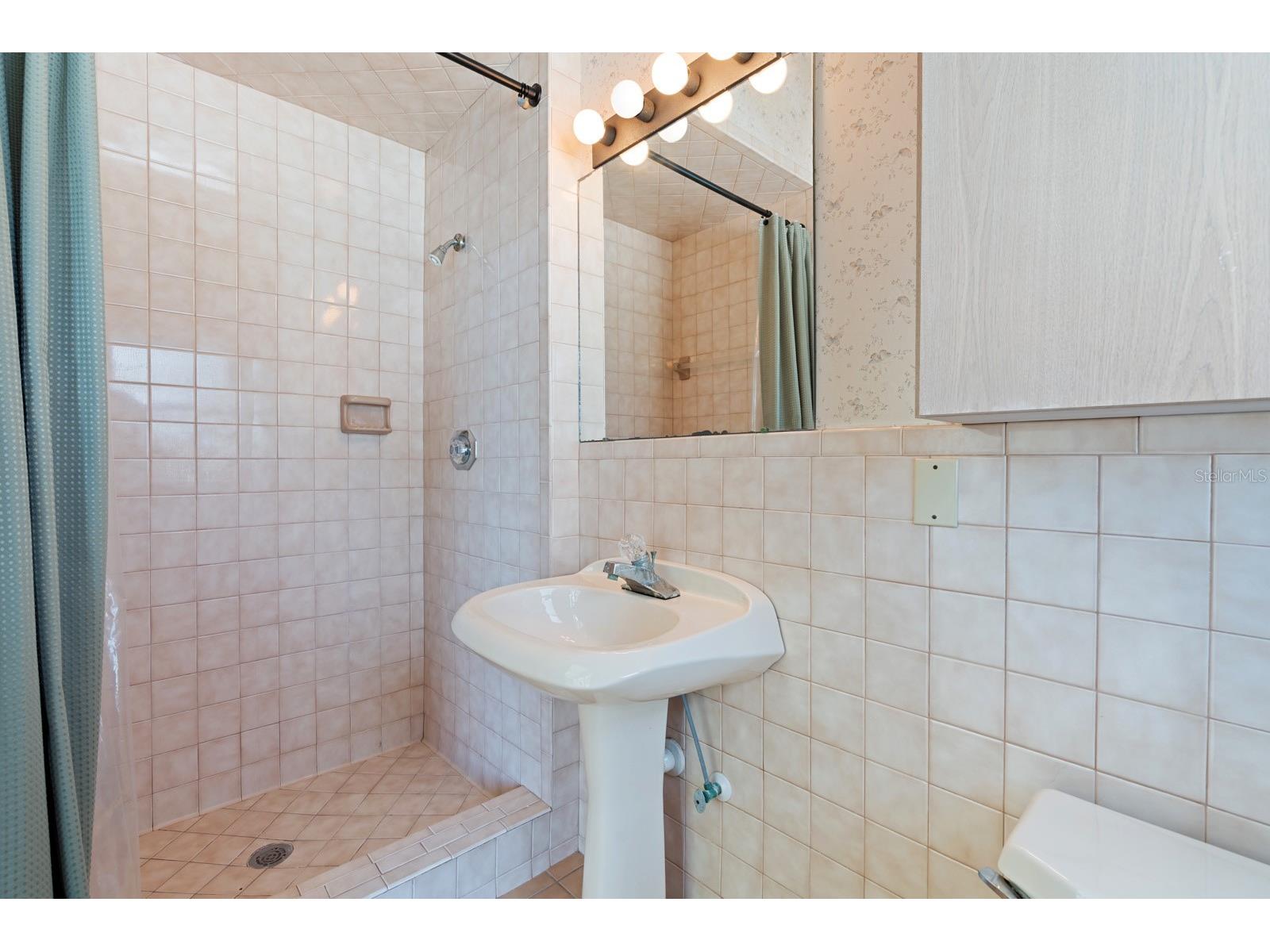 512 Caulder Park Road Seffner FL 33584 TB8518914 image34