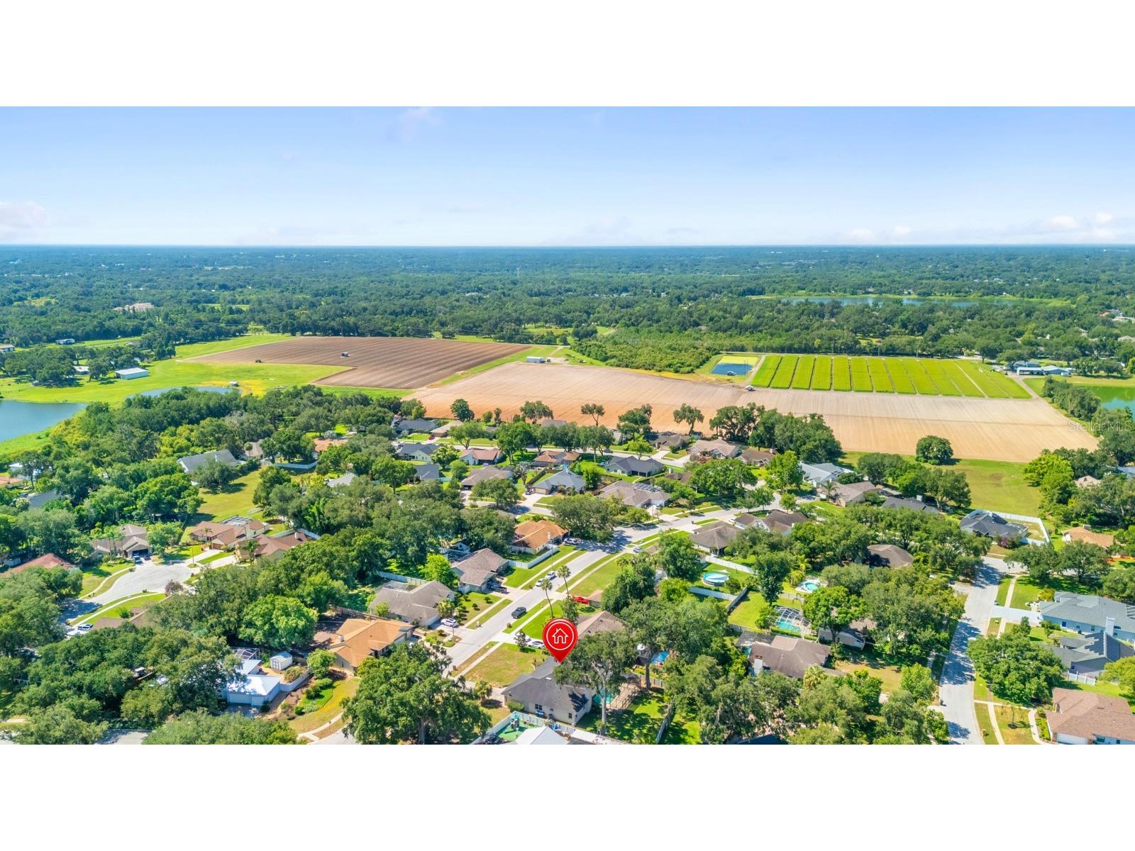 512 Caulder Park Road Seffner FL 33584 TB8518914 image53