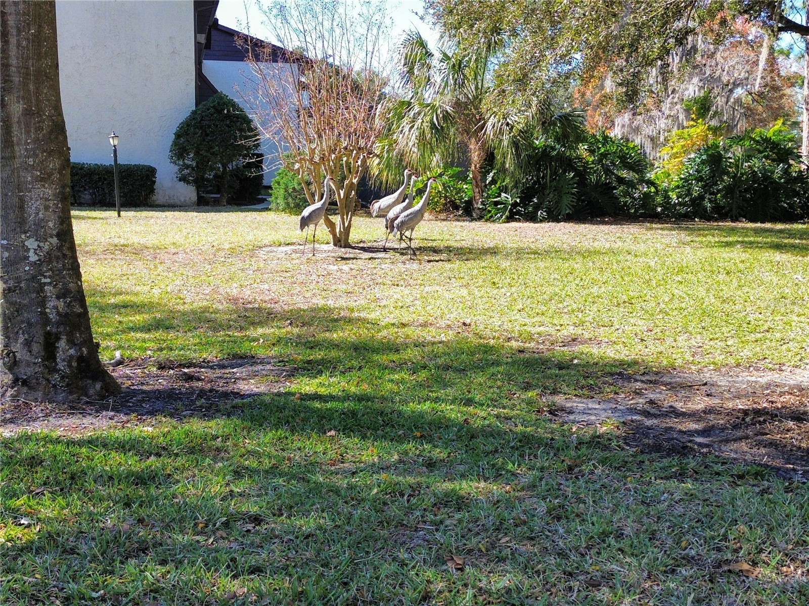 512 Fairways Circle #A Ocala FL 34472 - LAKE SPARKLE OM717508 image24
