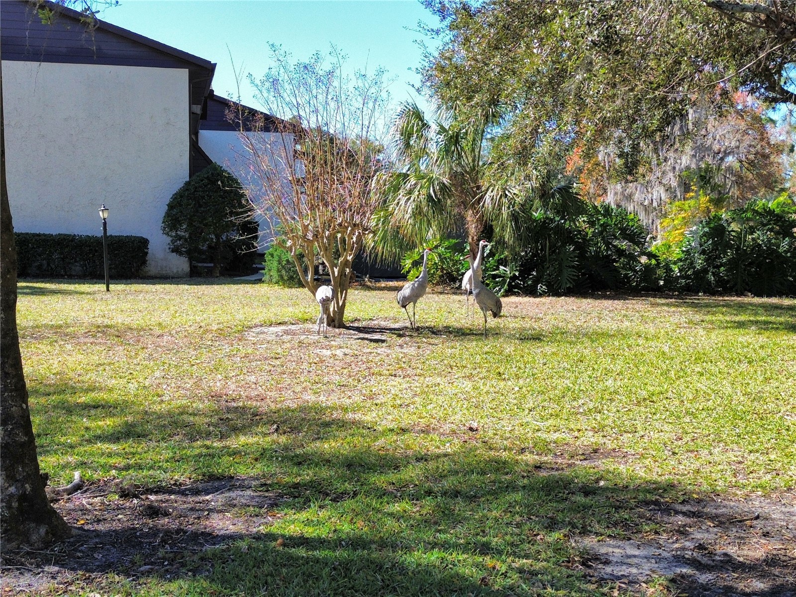 512 Fairways Circle #A Ocala FL 34472 - LAKE SPARKLE OM717508 image25