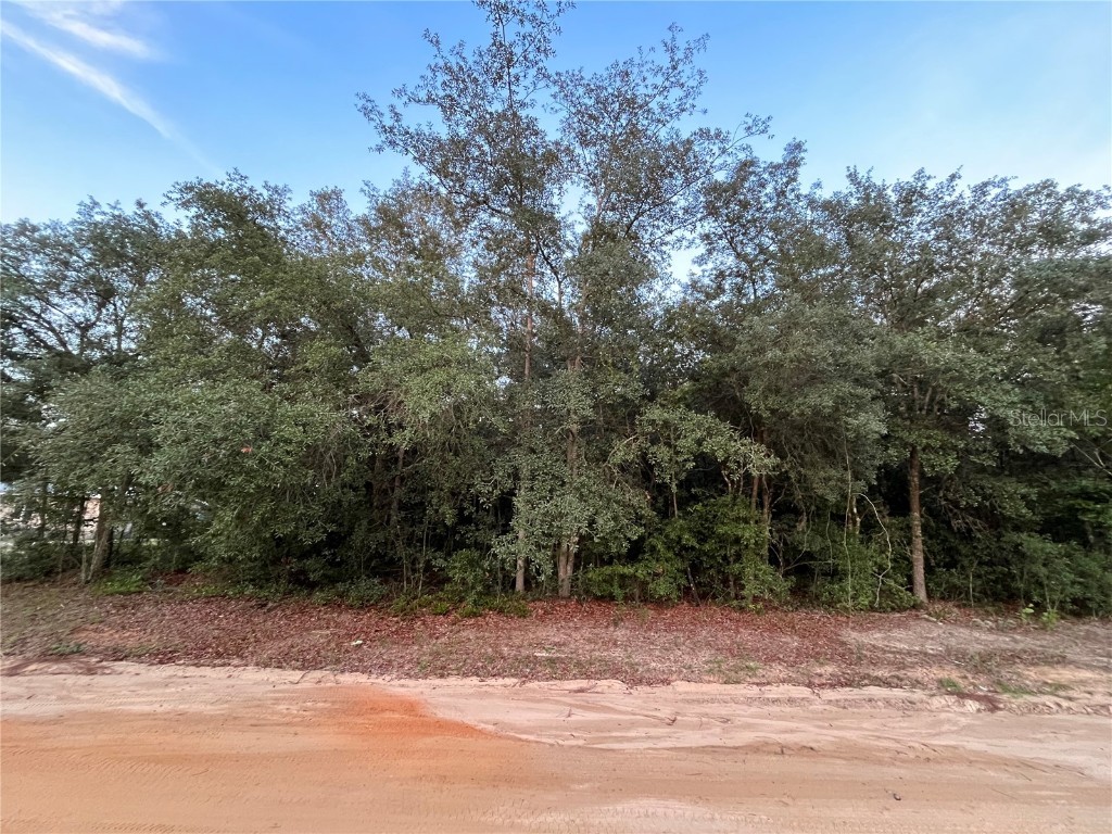 512 Oakcrest Drive Interlachen FL 32148 OK225392 image3