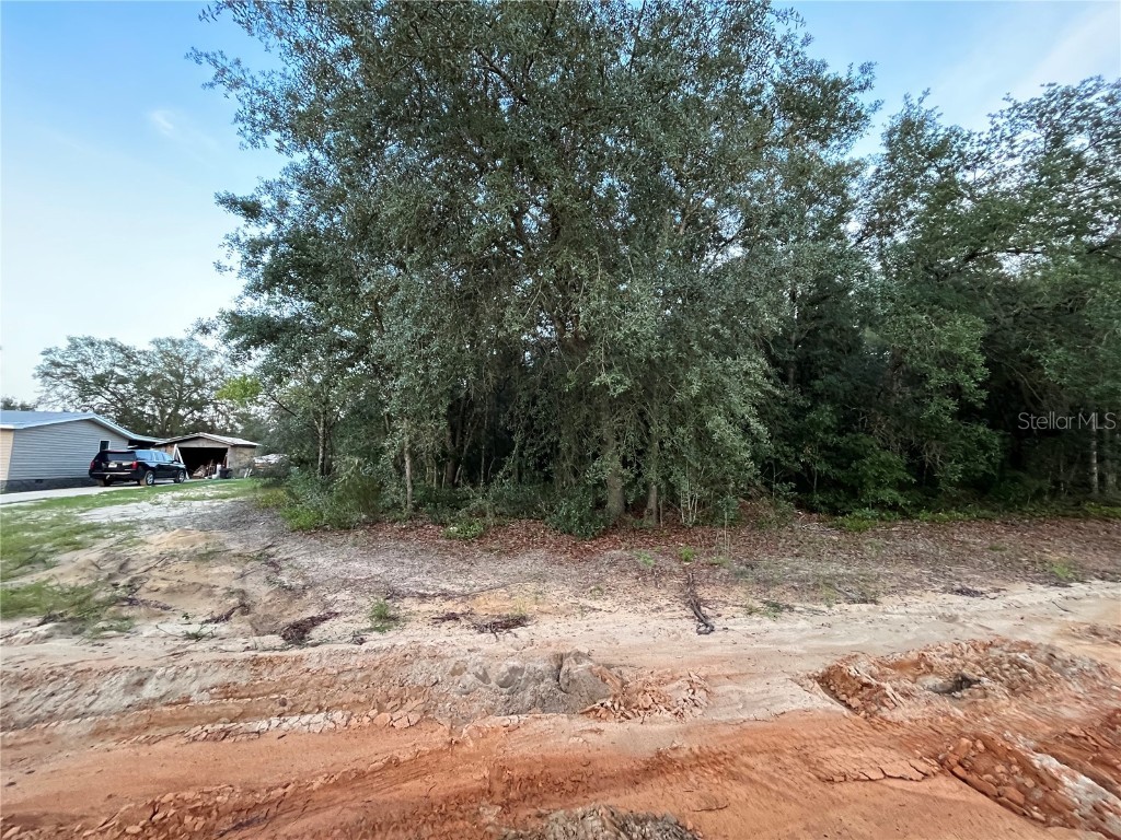 512 Oakcrest Drive Interlachen FL 32148 OK225392 image6