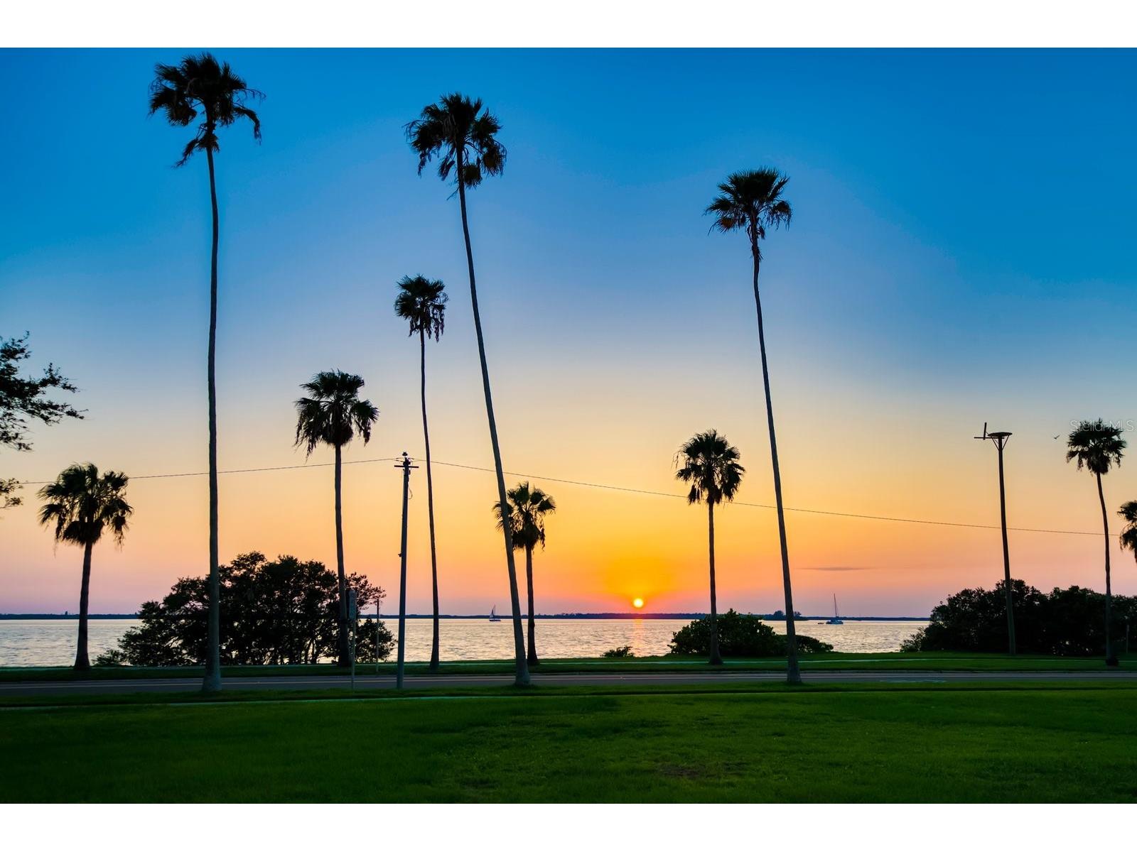 512 Roanoke Street Dunedin FL 34698 TB8513337 image35