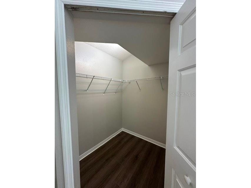 512 Summer Sails Drive Valrico FL 33594 L4961616 image17