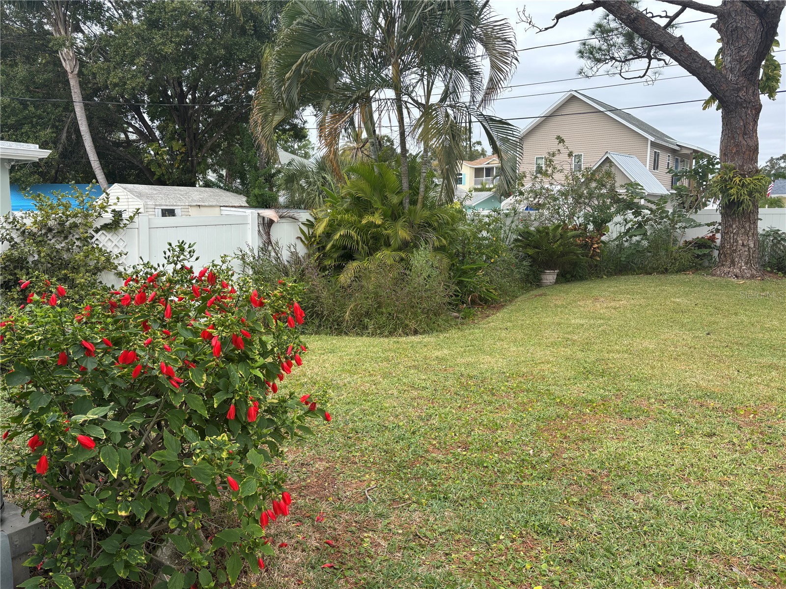 512 Tennessee Avenue Crystal Beach FL 34681 TB8454793 image12