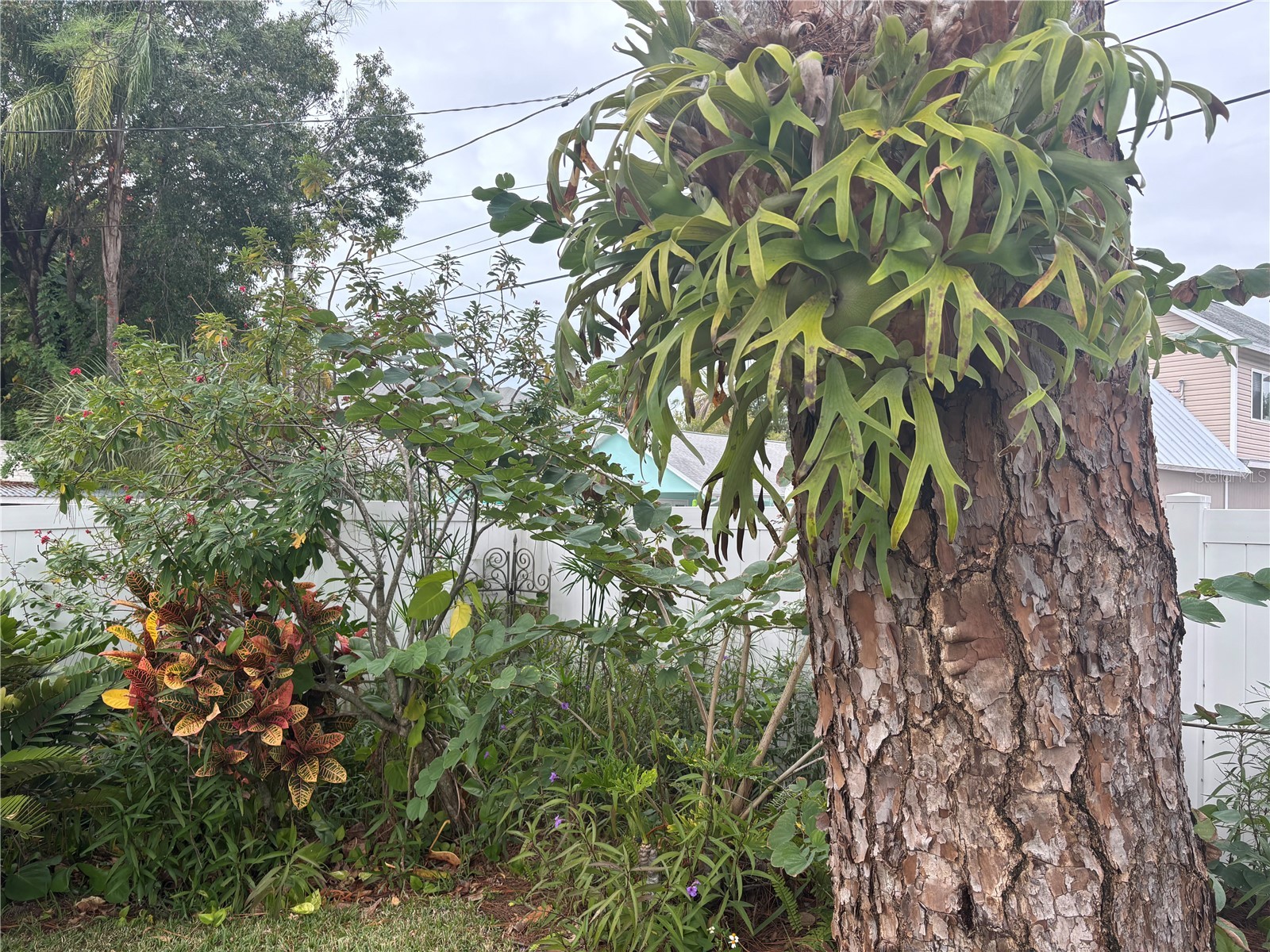 512 Tennessee Avenue Crystal Beach FL 34681 TB8454793 image13