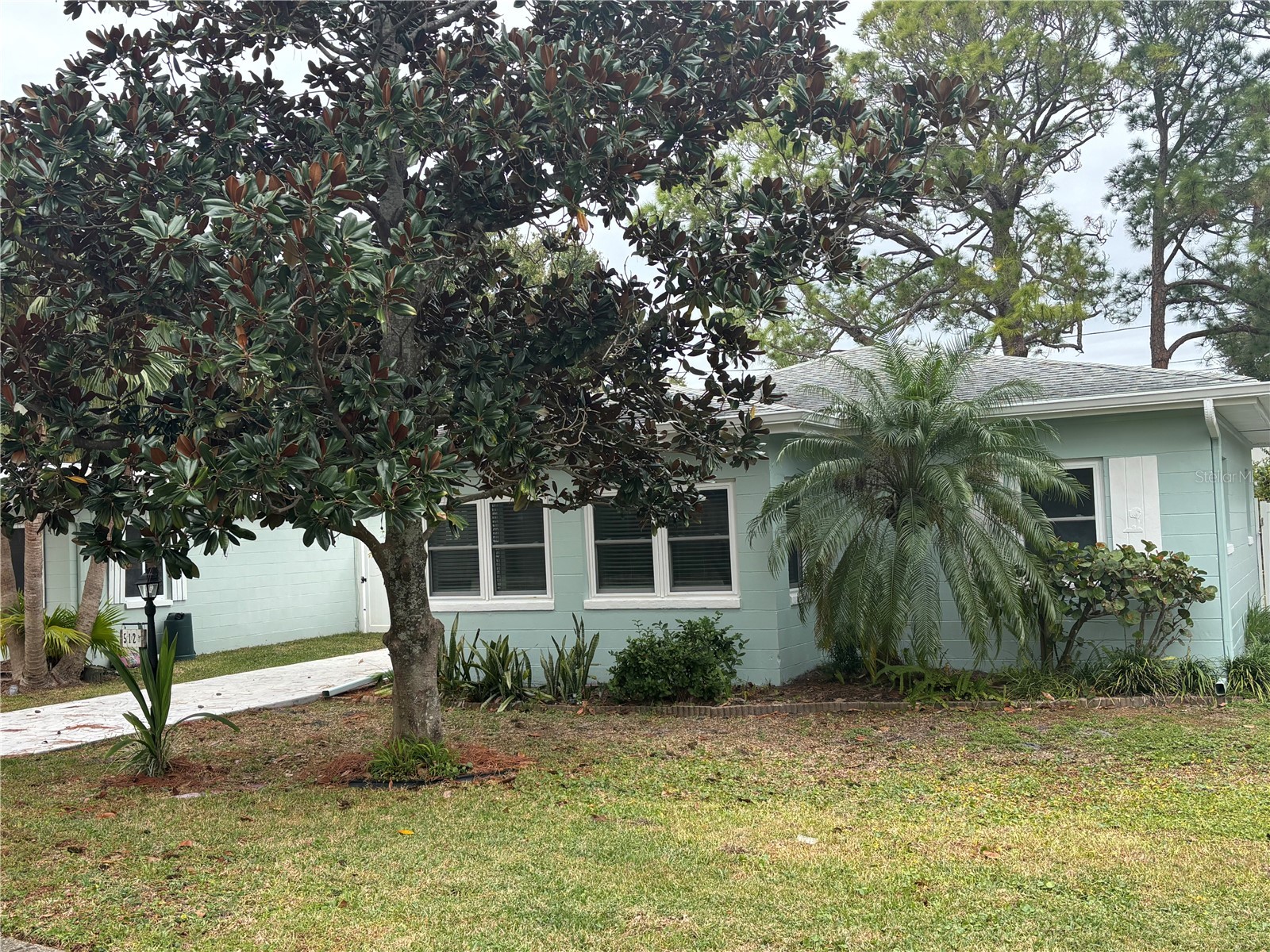 512 Tennessee Avenue Crystal Beach FL 34681 TB8454793 image14