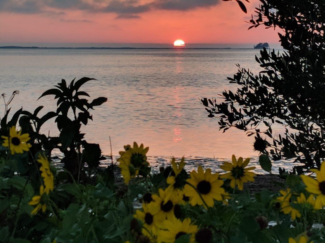 512 Tennessee Avenue Crystal Beach FL 34681 TB8454793 image16