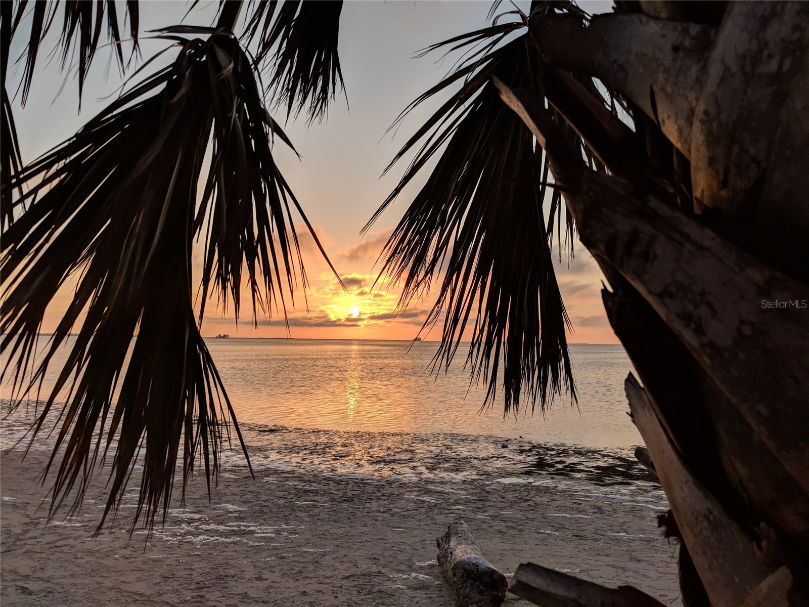 512 Tennessee Avenue Crystal Beach FL 34681 TB8454793 image17