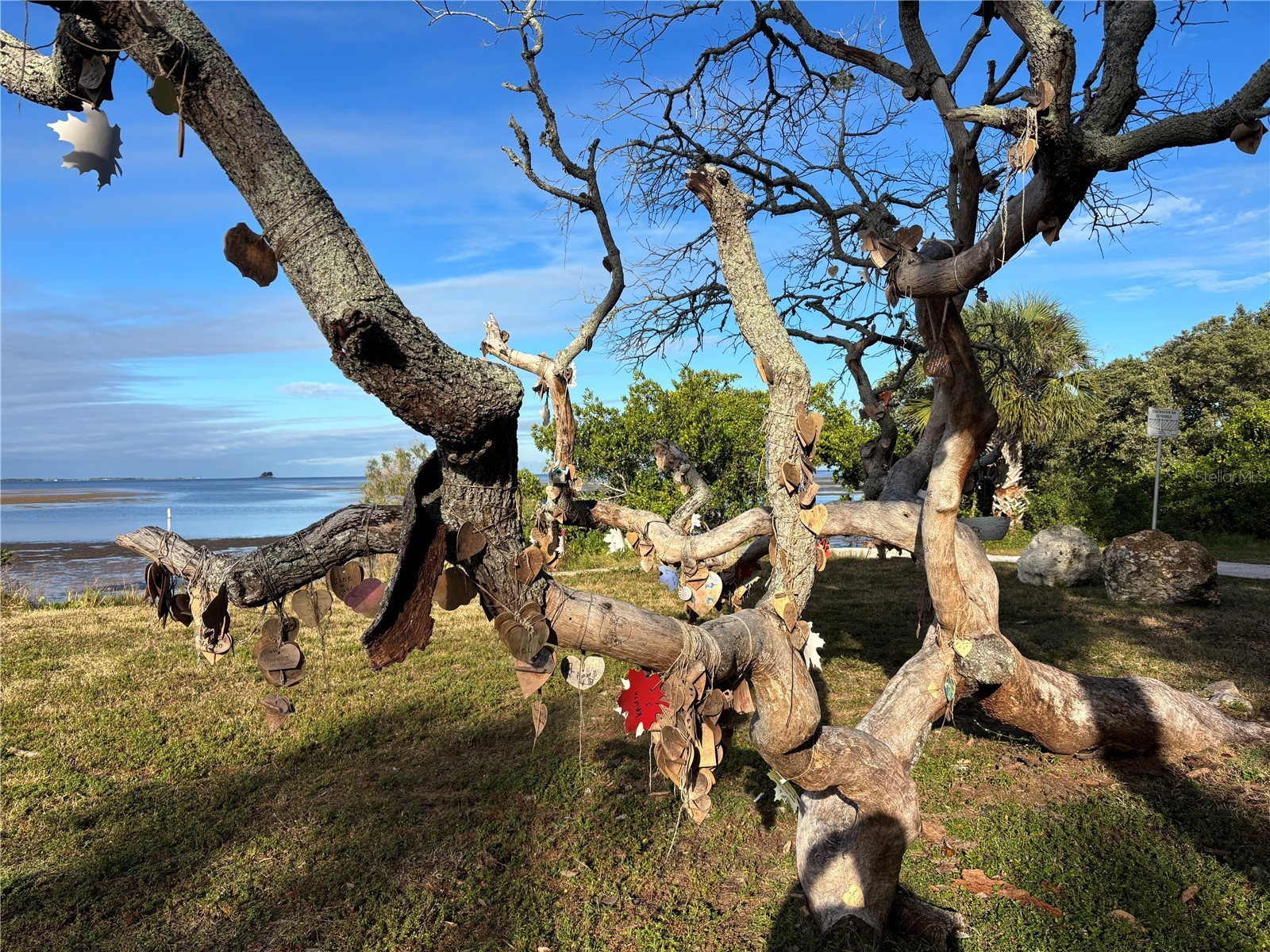 512 Tennessee Avenue Crystal Beach FL 34681 TB8454793 image18