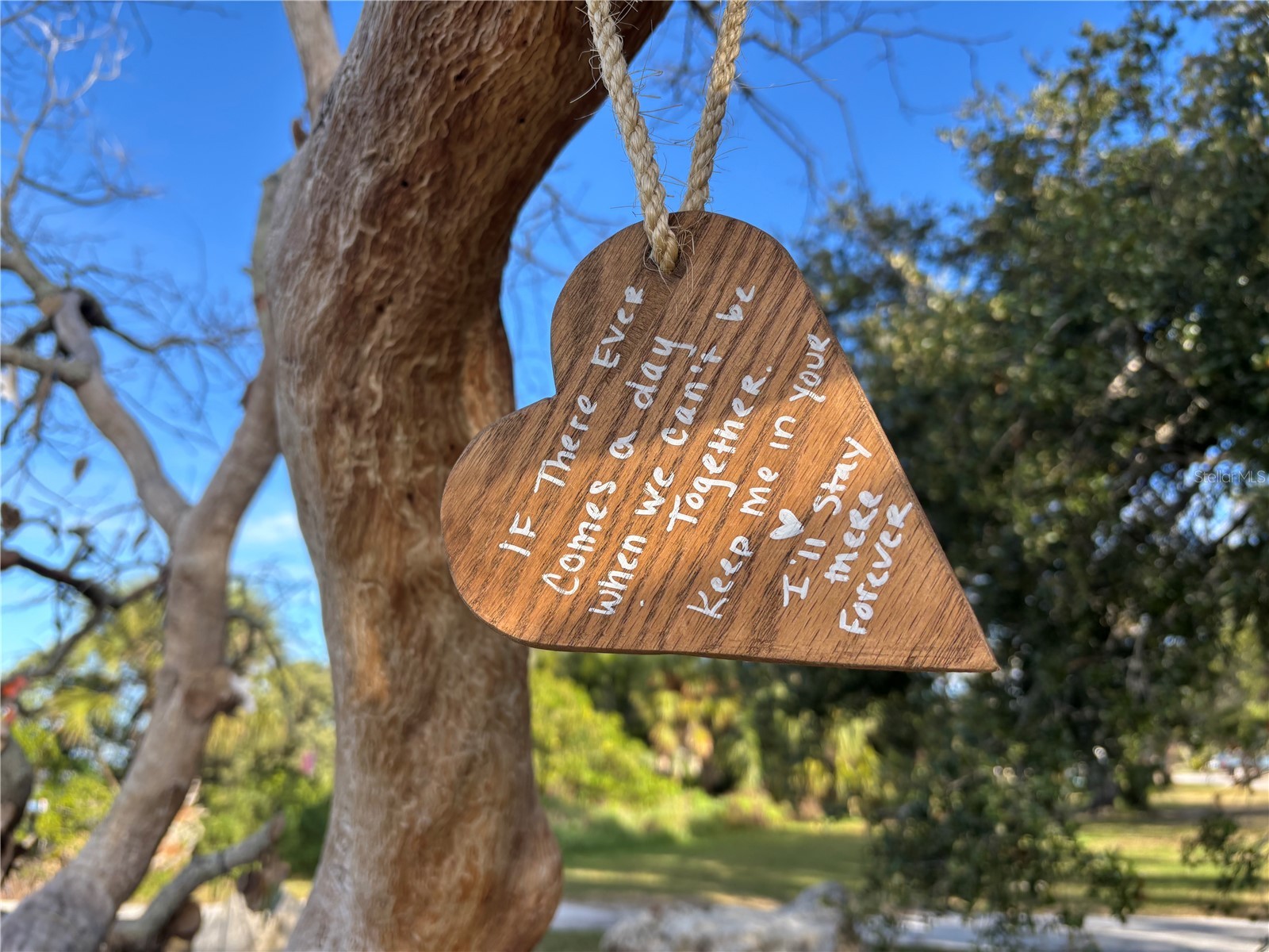 512 Tennessee Avenue Crystal Beach FL 34681 TB8454793 image19