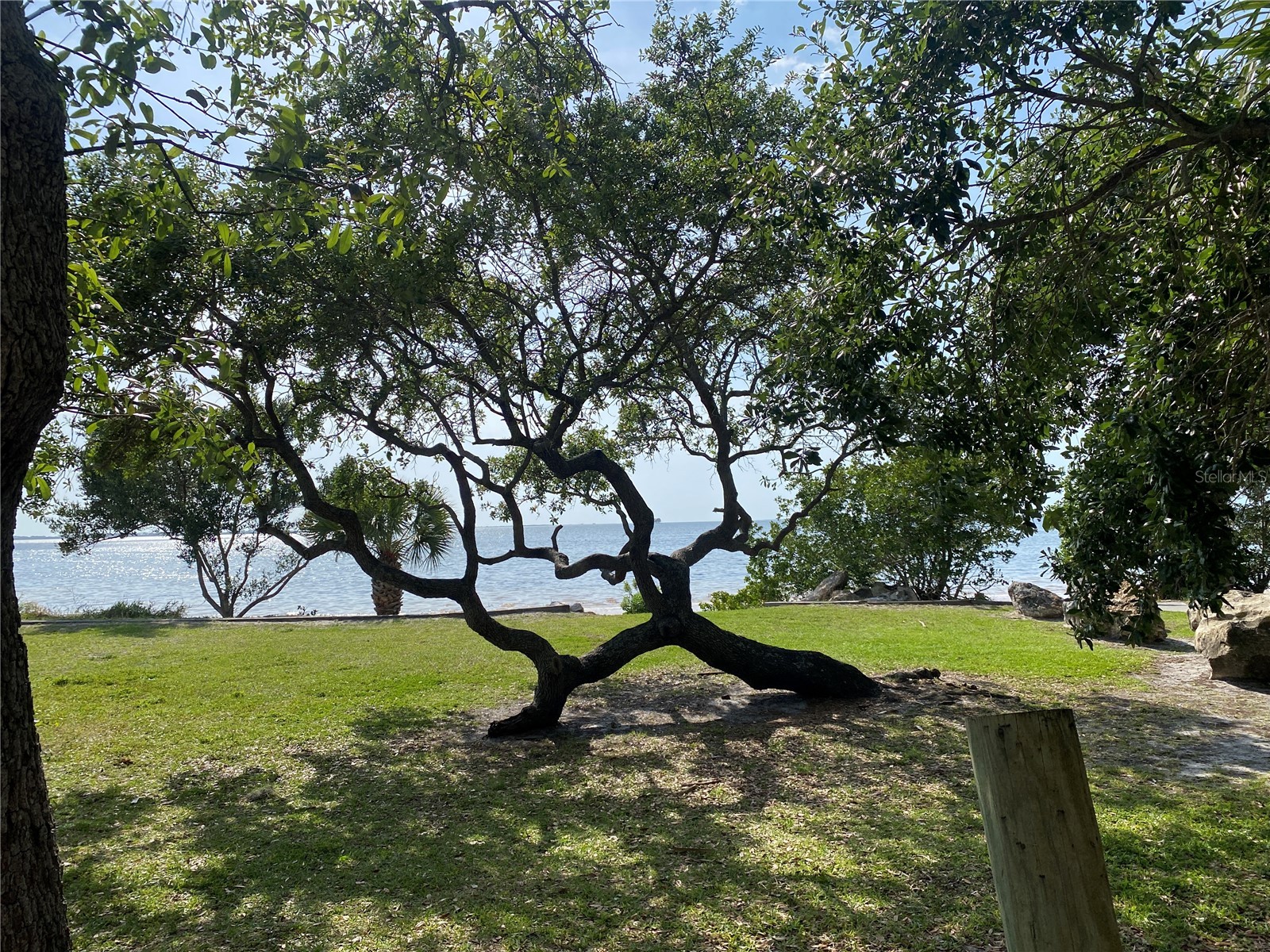 512 Tennessee Avenue Crystal Beach FL 34681 TB8454793 image20