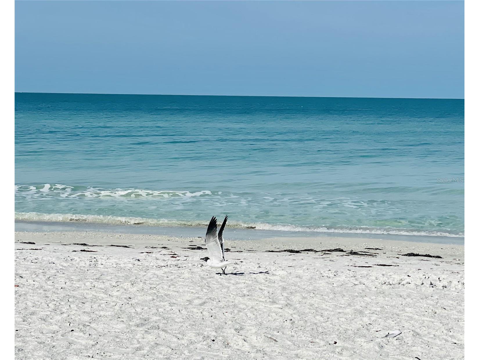 512 Tennessee Avenue Crystal Beach FL 34681 TB8454793 image24