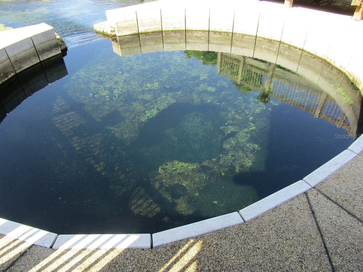 512 Tennessee Avenue Crystal Beach FL 34681 TB8454793 image25