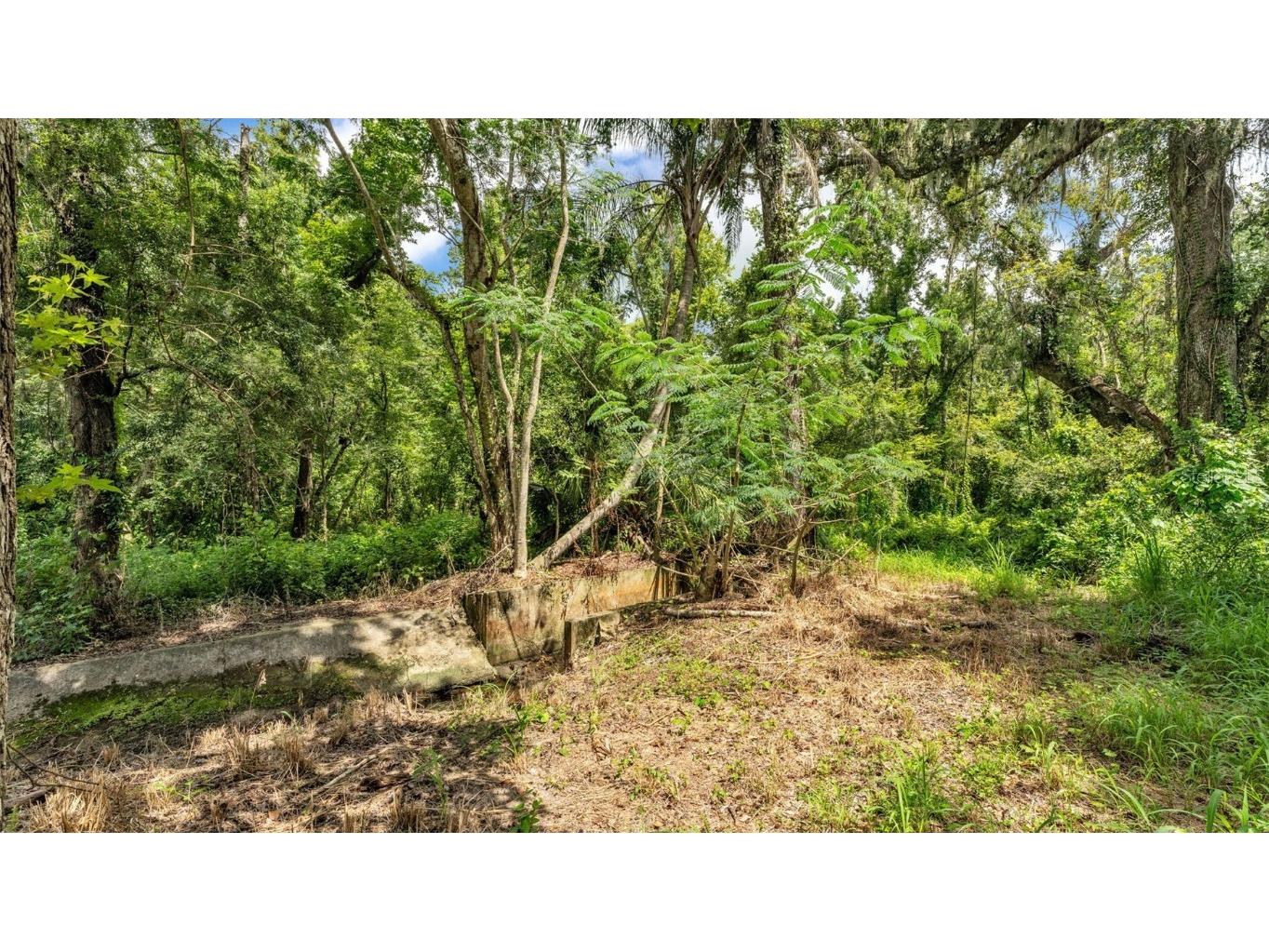 512 Water Oak Court Fort Meade FL 33841 L4954181 image32