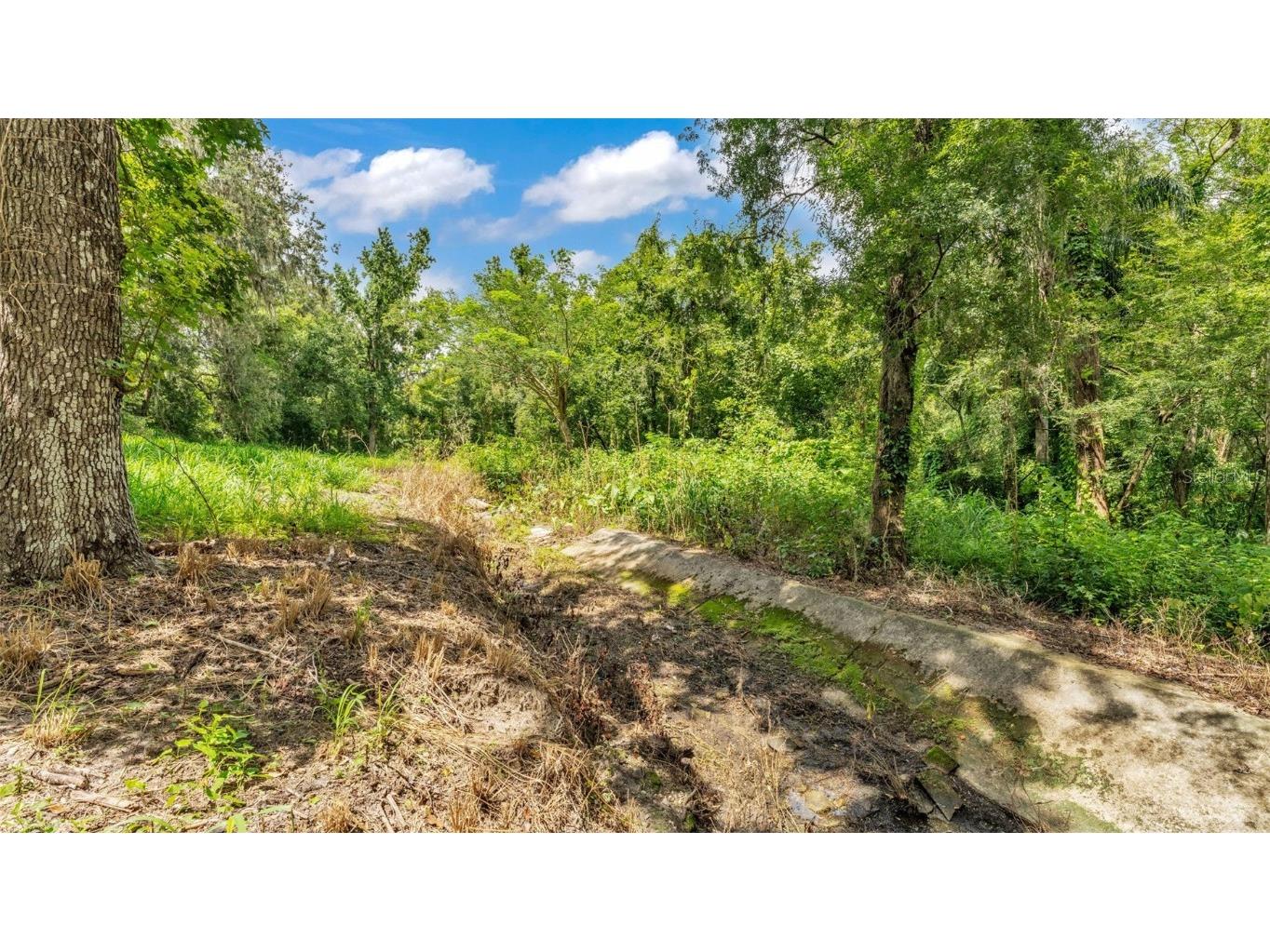 512 Water Oak Court Fort Meade FL 33841 L4954181 image33