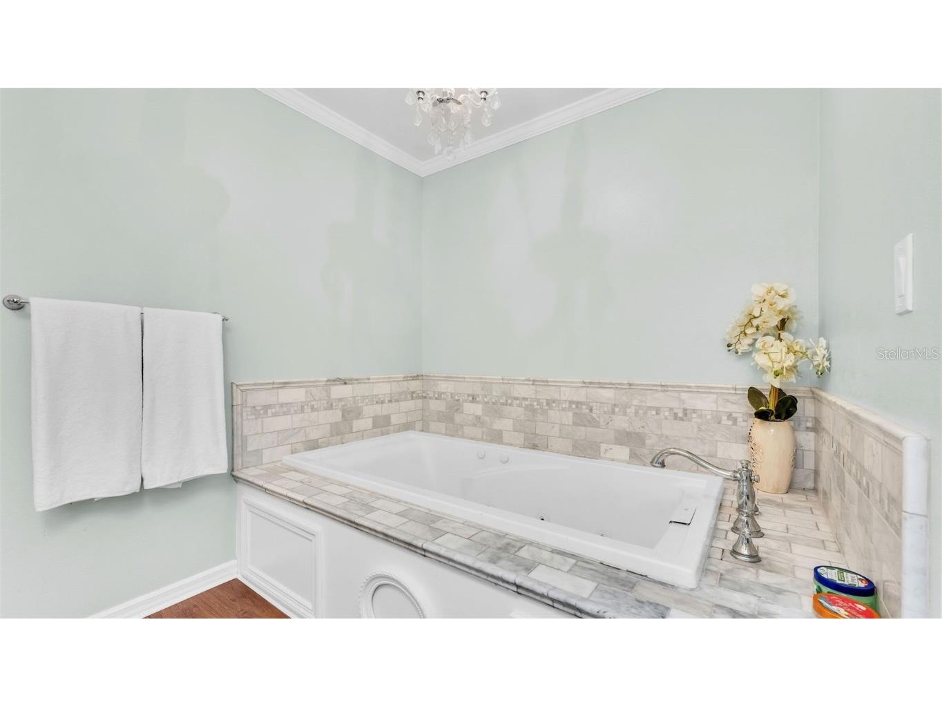 512 Water Oak Court Fort Meade FL 33841 L4954181 image48