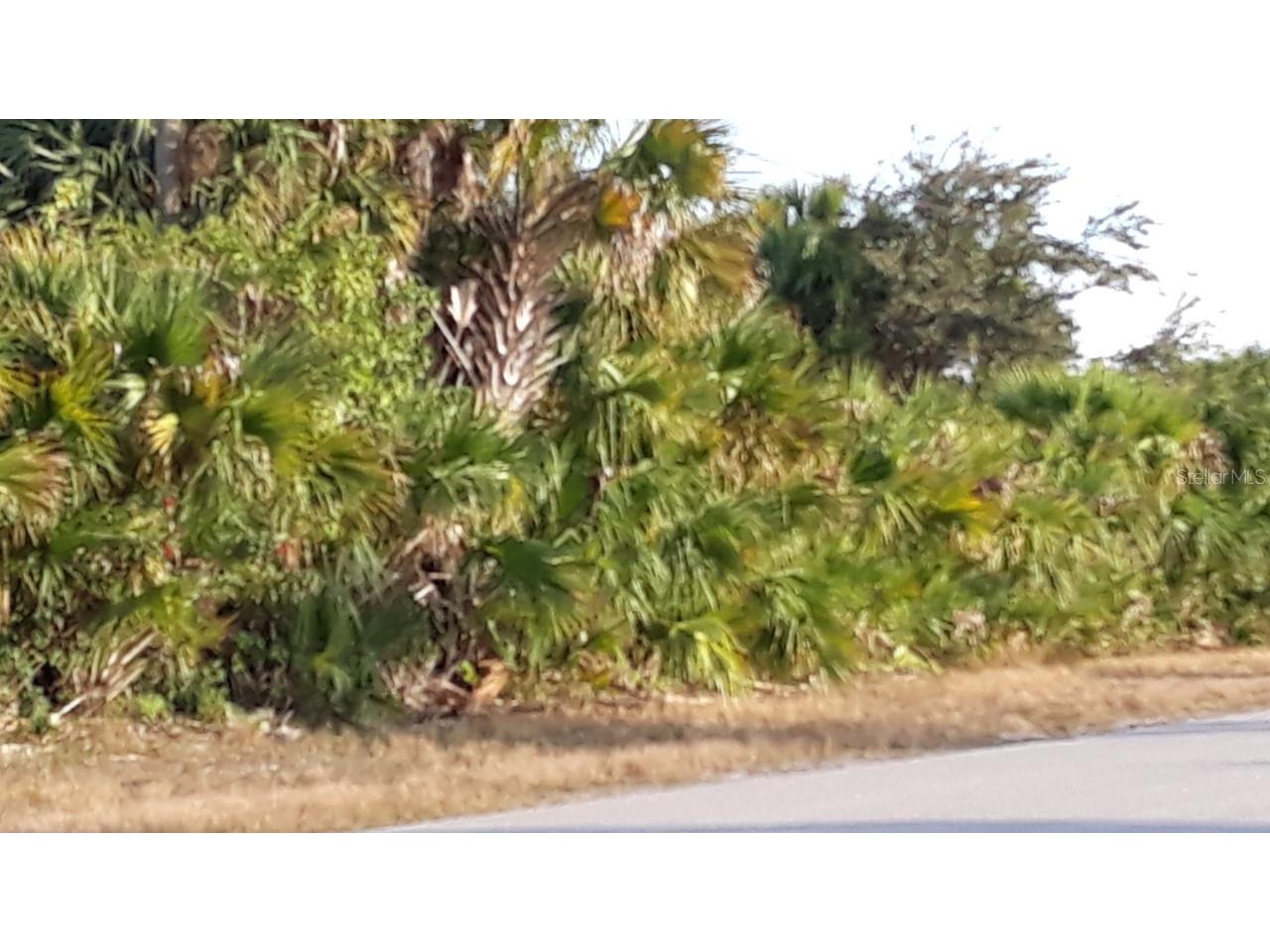 5120 Crawfordsville Drive Port Charlotte FL 33948 C7456427 image1