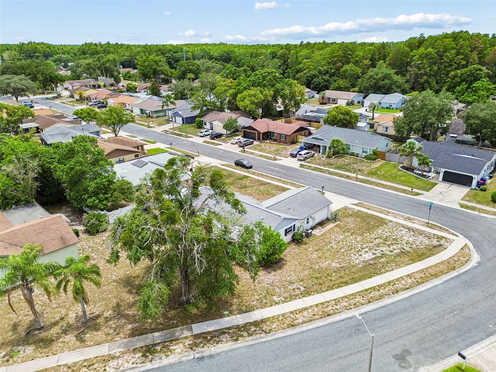 5120 Doefield Lane New Port Richey FL 34653 TB8517410 image72