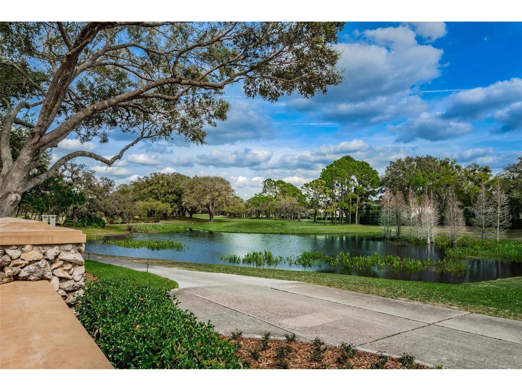 5120 Fairway One Drive Valrico FL 33596 TB8492731 image14