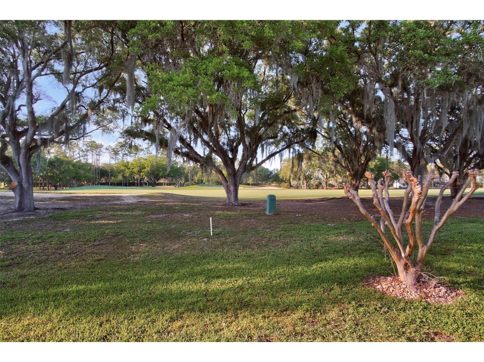 5120 Fairway One Drive Valrico FL 33596 TB8492731 image51