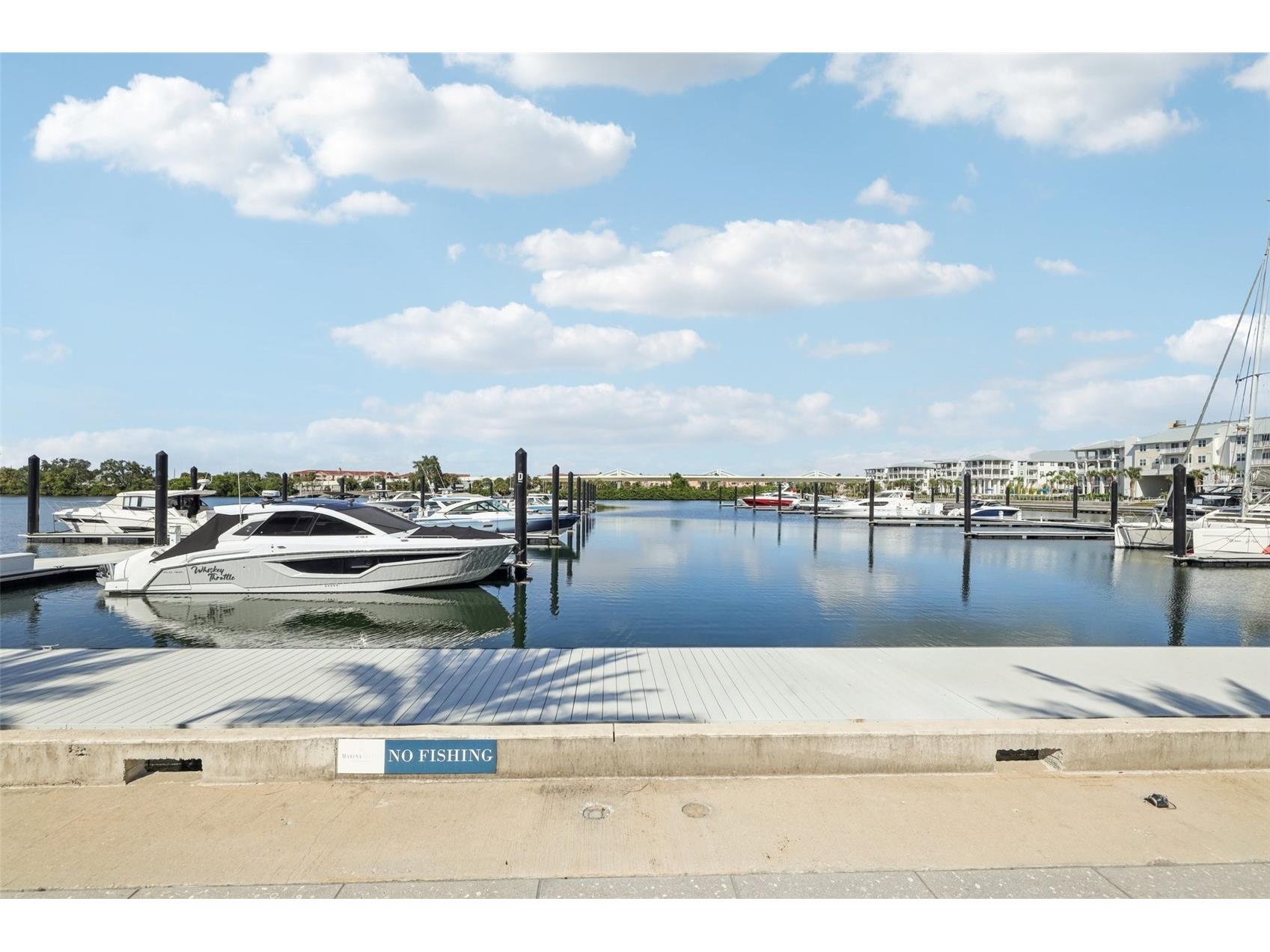 5120 Marina Way #14002 Tampa FL 33611 TB8473118 image51