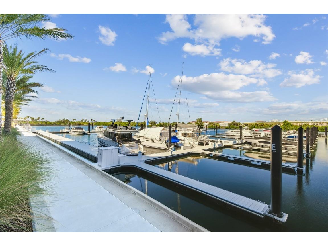 5120 Marina Way #14006 Tampa FL 33611 - OLD TAMPA BAY TB8440142 image49